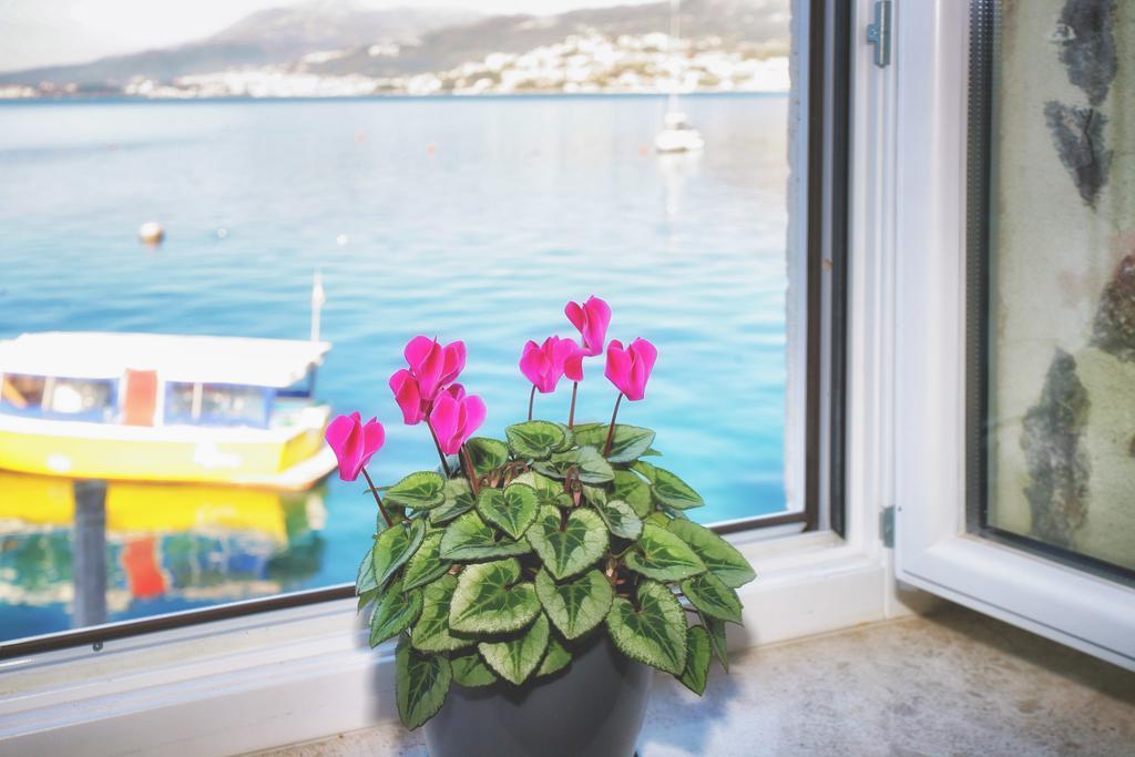 Apartments Barizon Luštica Εξωτερικό φωτογραφία